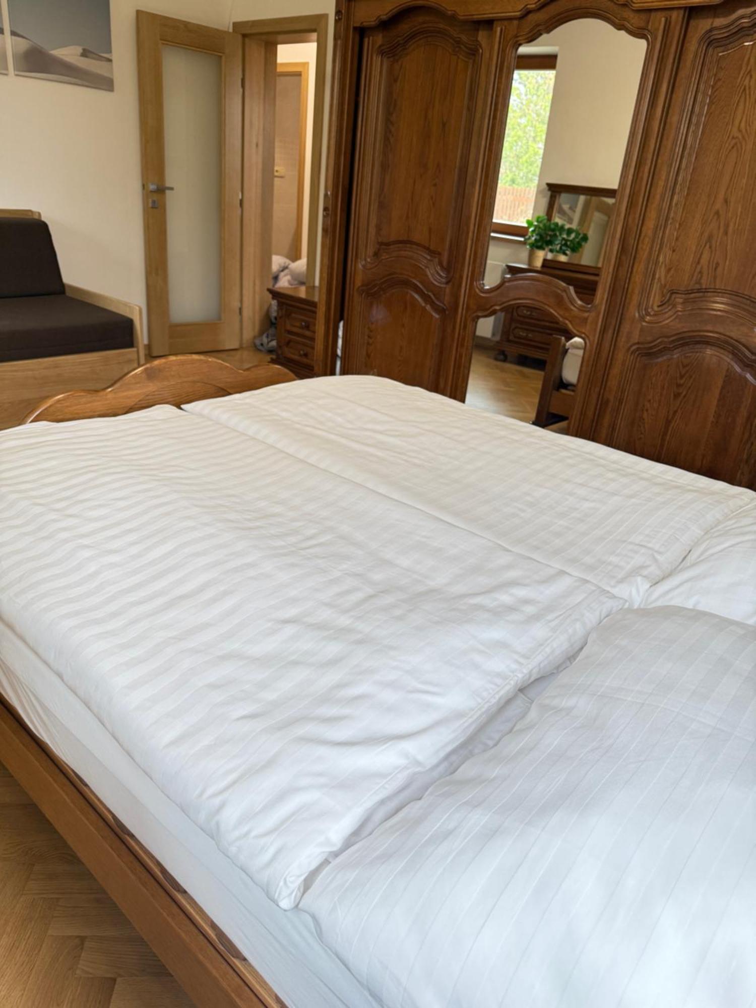 Familyvilla, New 4 Luxury Big Apartments, Parking Prag Dış mekan fotoğraf